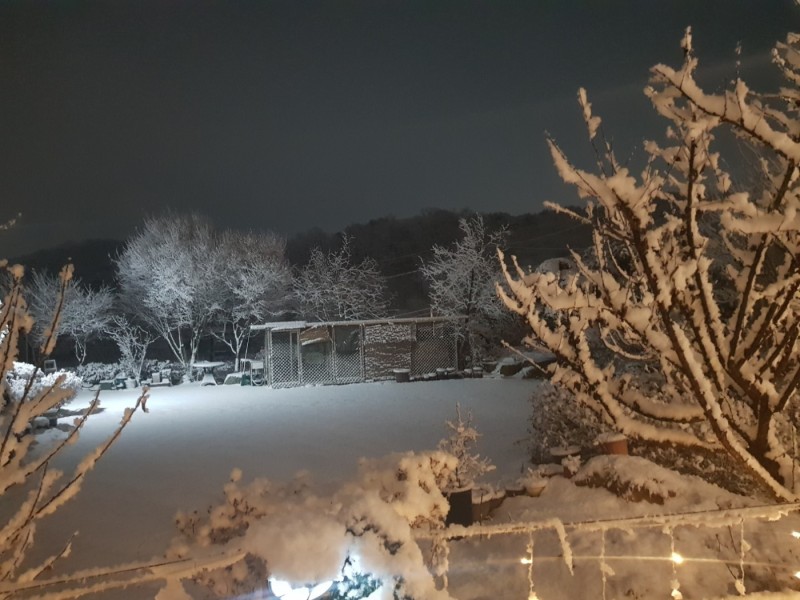 파주 오페라한옥펜션 사진