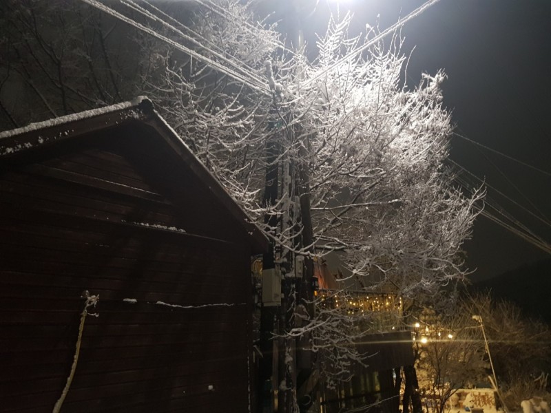 파주 오페라한옥펜션 사진