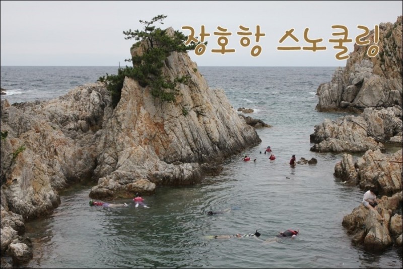 삼척 오라펜션 수영장