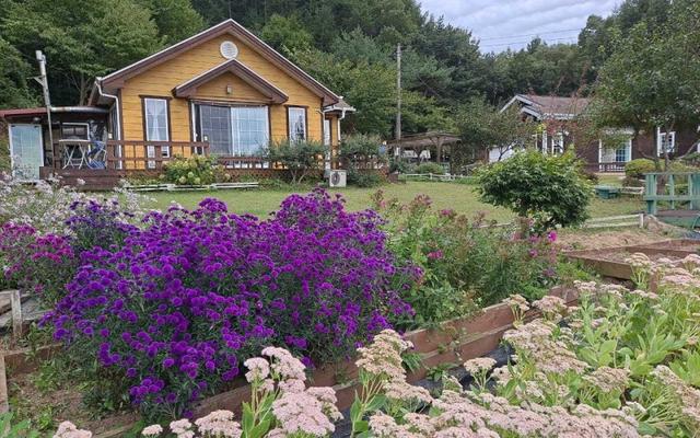 장수 고아산방펜션