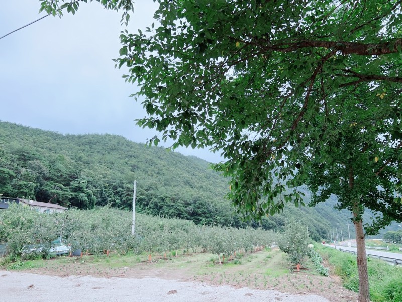 https://yaimg.yanolja.com/v5/2023/09/08/16/64fb4c57e45a18.70972730.jpg