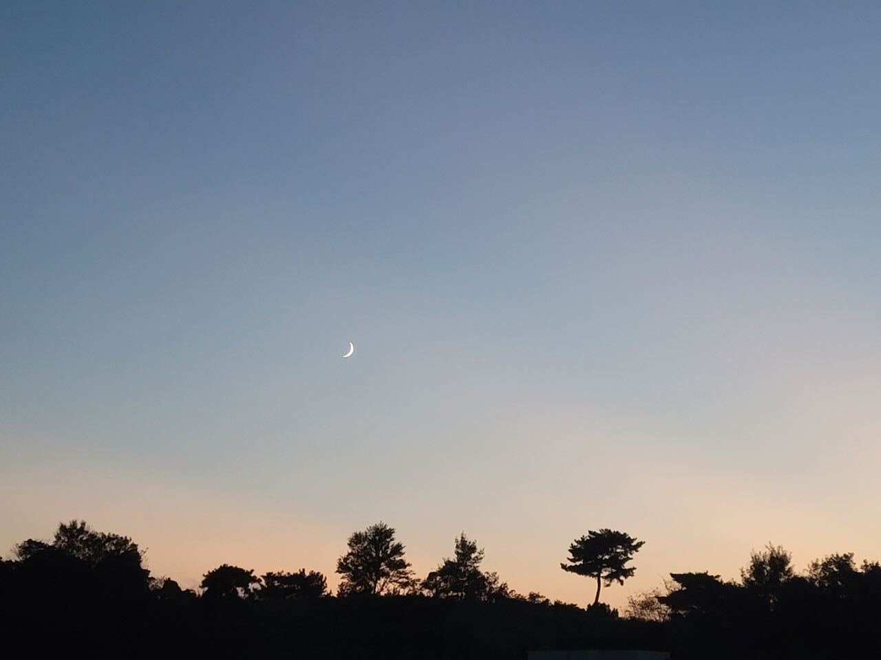서산 S 무인텔(유인텔) 전망