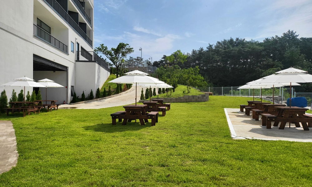 삼척(장호항) 힐스노클비치 Hotel 사진