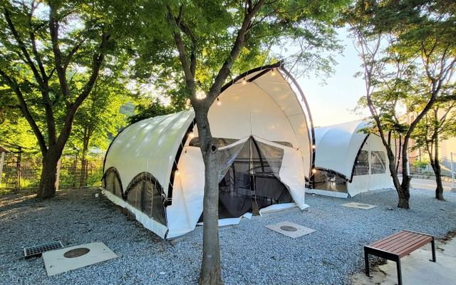 아산 와이제이(YJ)