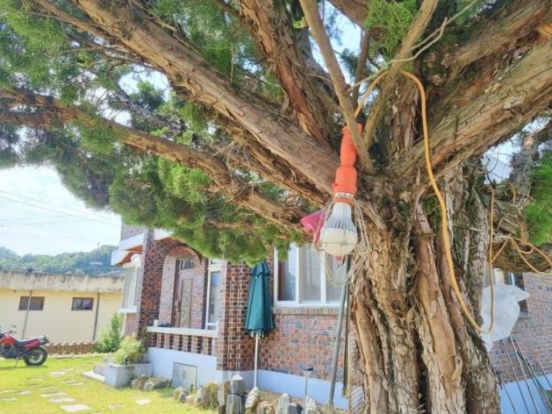 https://yaimg.yanolja.com/v5/2023/11/01/14/654266e09ce2a8.18585962.jpg