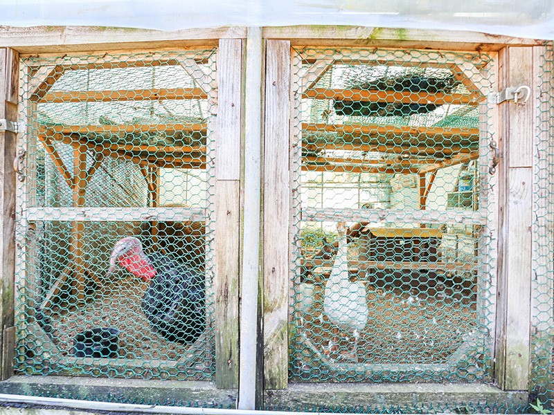 단양 단양팔경펜션 사진