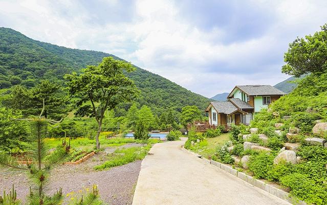 고성 구름위의산책펜션