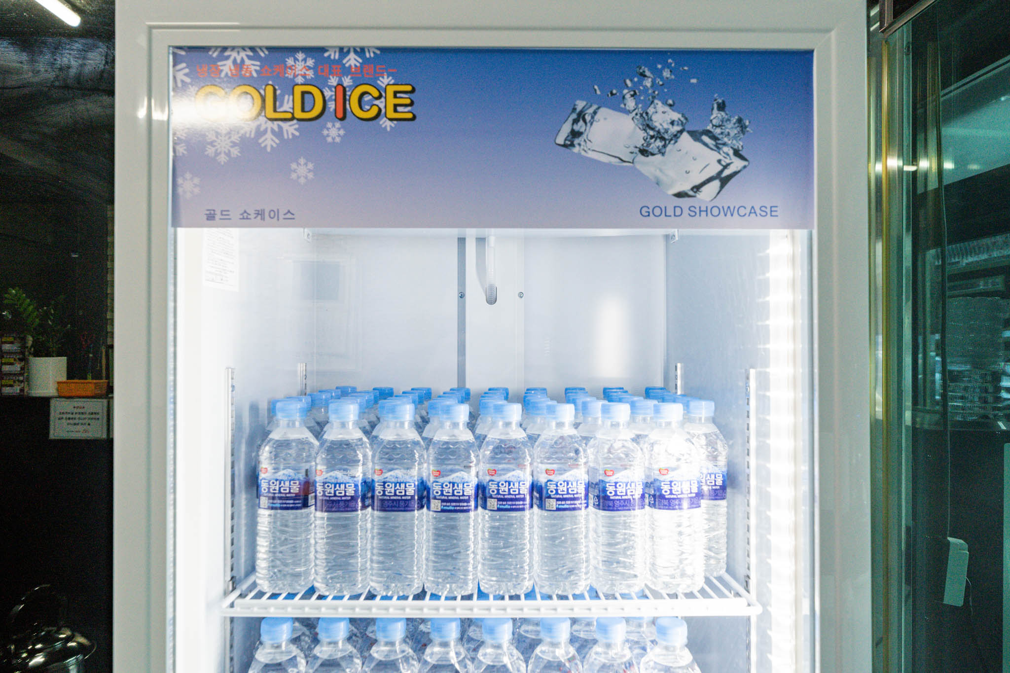 정선 루비 사진