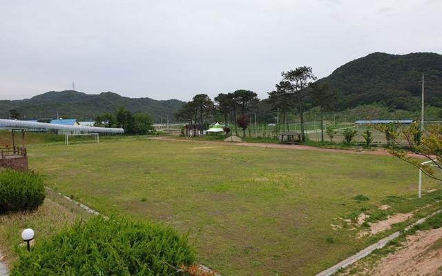 장성 달돋이마을펜션 사진