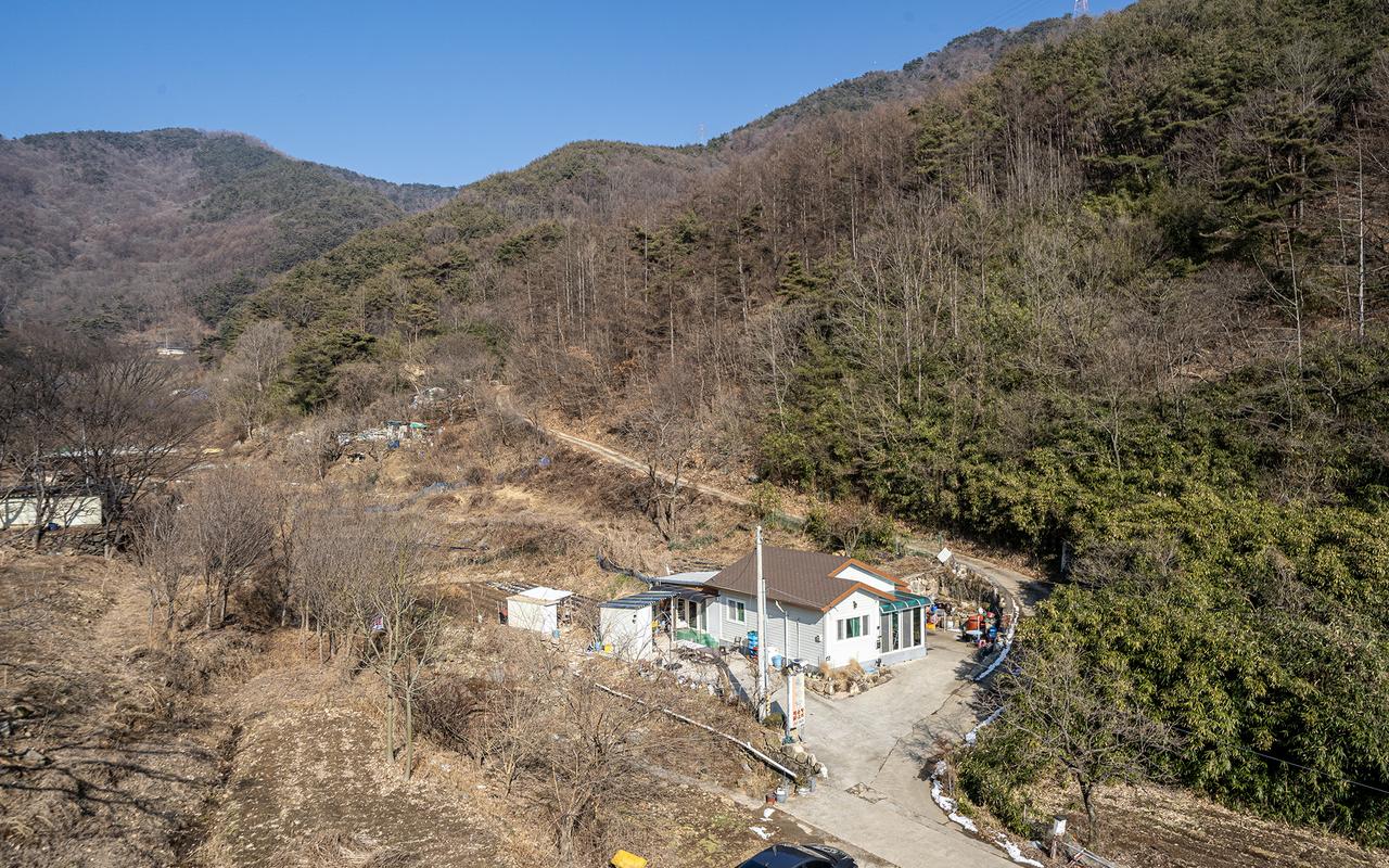 가창 더숲 사진
