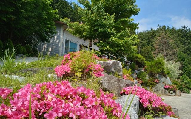 장성 편백숲속펜션