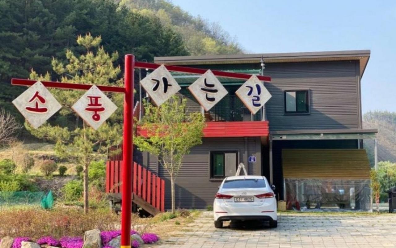 홍천 알파카 소풍 펜션 사진