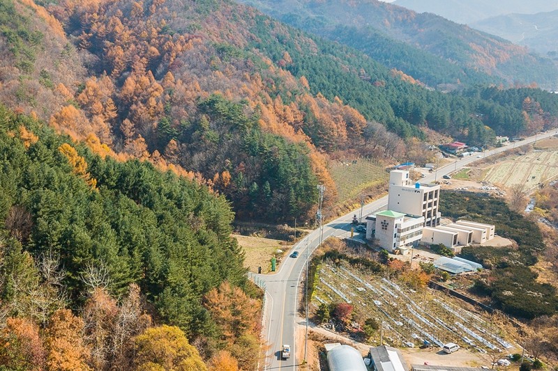 무주 마리나&스위트풀빌라스파펜션 전망