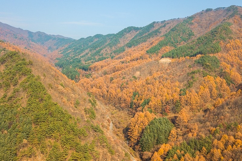 무주 마리나&스위트풀빌라스파펜션 전망
