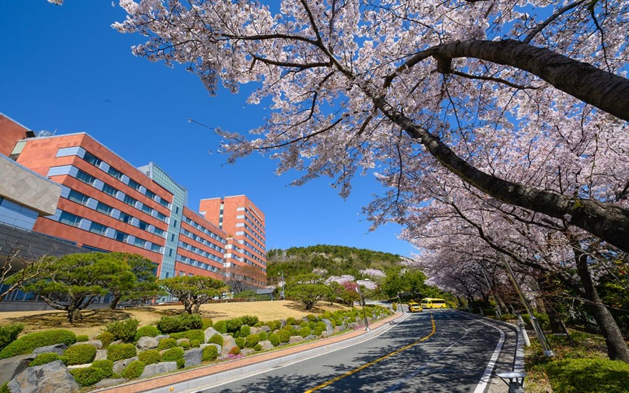 거제 삼성호텔 사진
