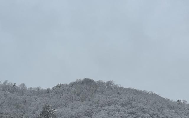 썸네일_2