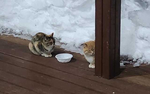 썸네일_1