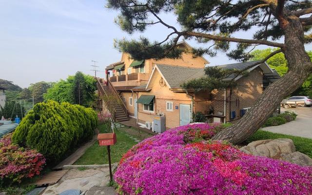 인천(무의도) 상수리나무아래펜션