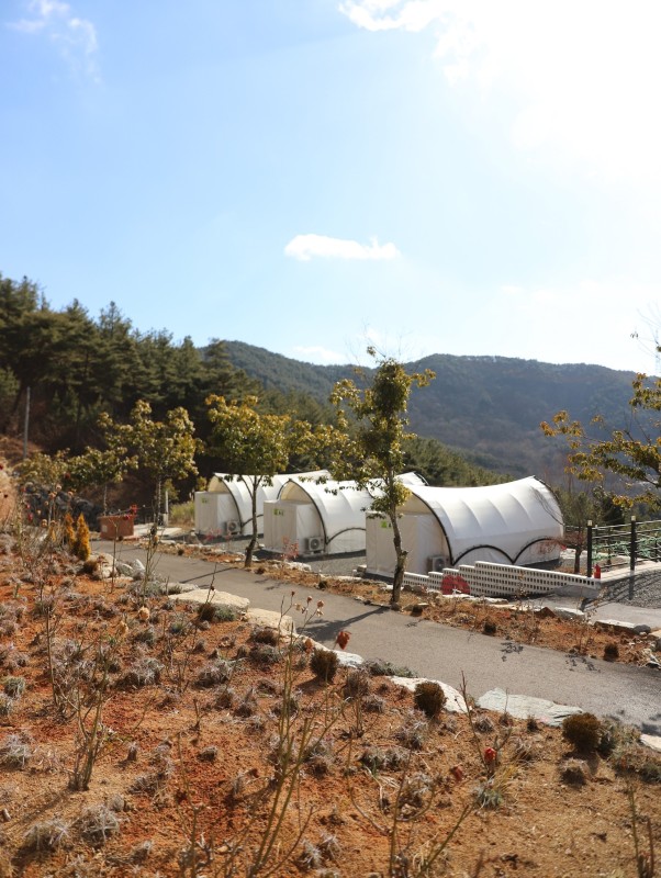 https://yaimg.yanolja.com/v5/2024/03/20/09/65fab2ac5b2ca0.80452803.jpg