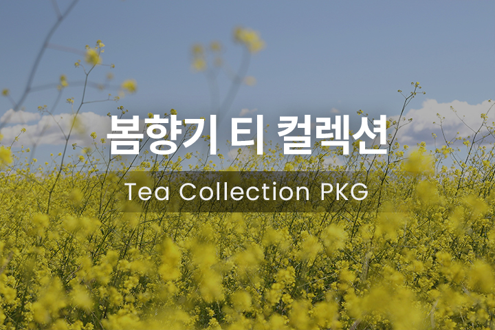  단독★봄향기 티컬렉션 PKG  스튜디오 A(티캡슐샘플러 3종, 메디프레소 25% 할인쿠폰, 12시 레이트 체크아웃)