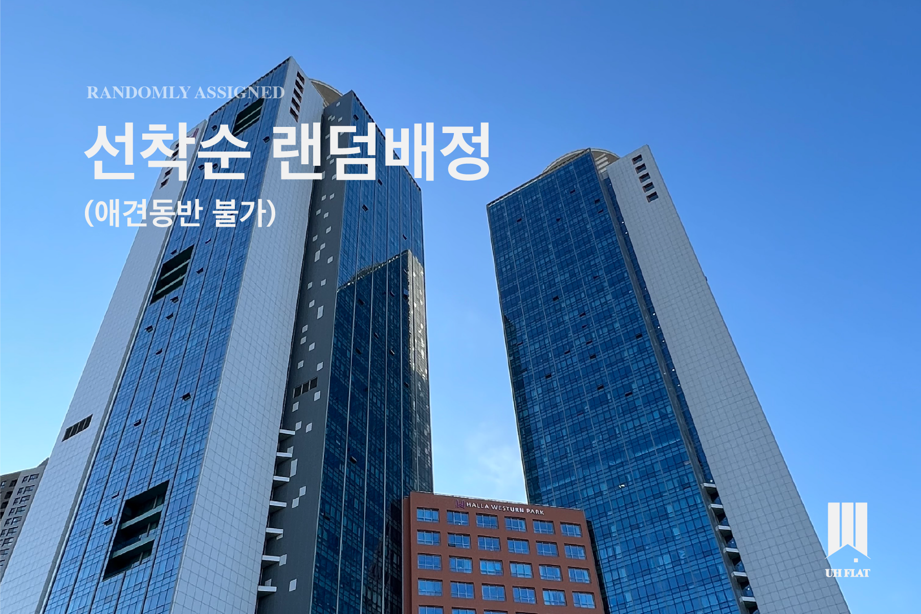 선착순 랜덤배정(애견동반 불가) 선착순 랜덤배정