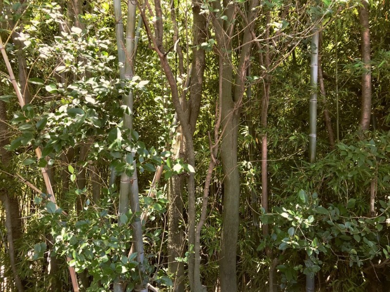 https://yaimg.yanolja.com/v5/2024/04/04/21/660f1fbcc6ac03.22934737.jpg