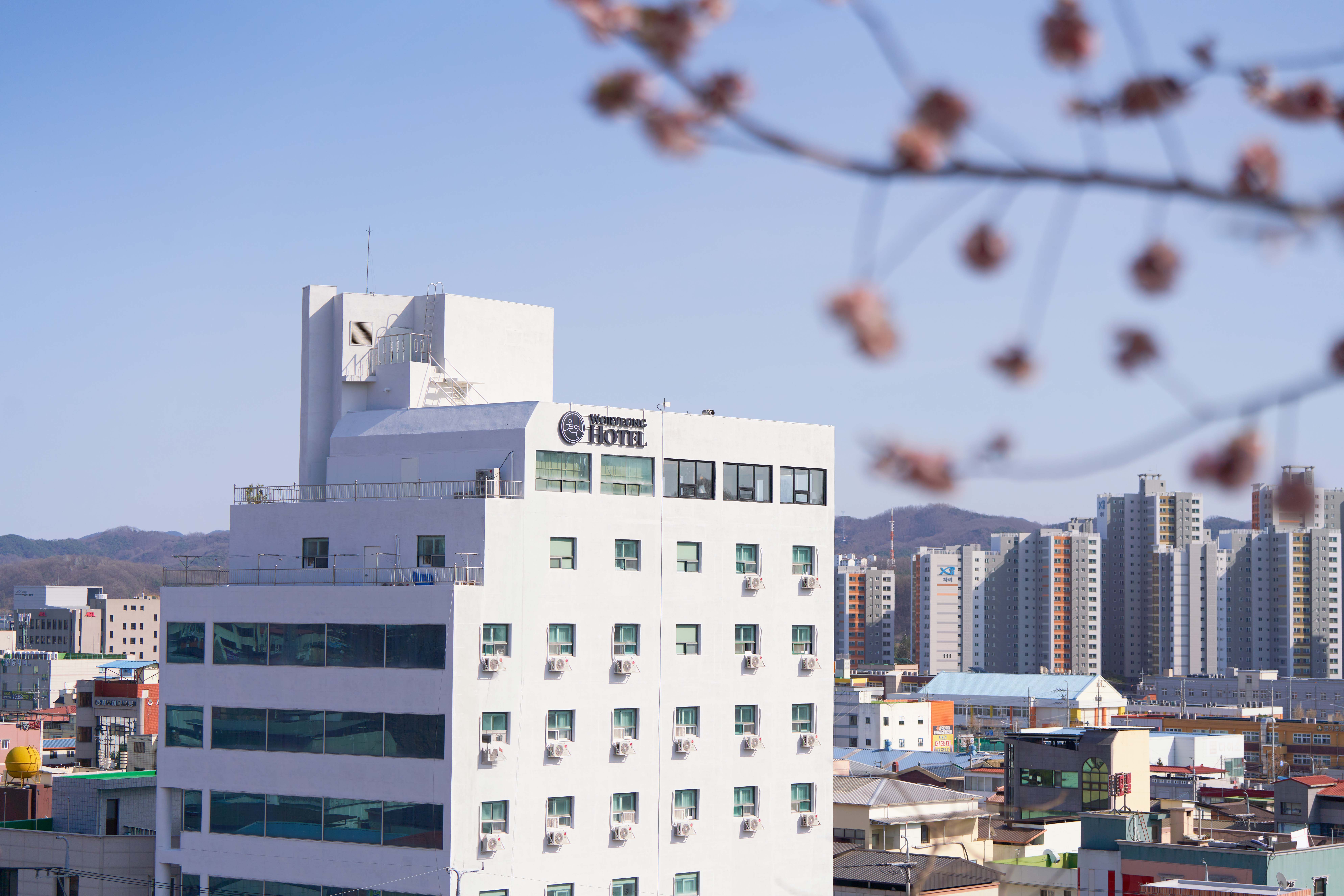 안동 월영호텔 바이 뉴시즈 외관