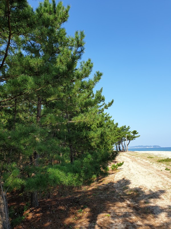 https://yaimg.yanolja.com/v5/2024/04/12/12/6619232a98b639.51451564.jpg
