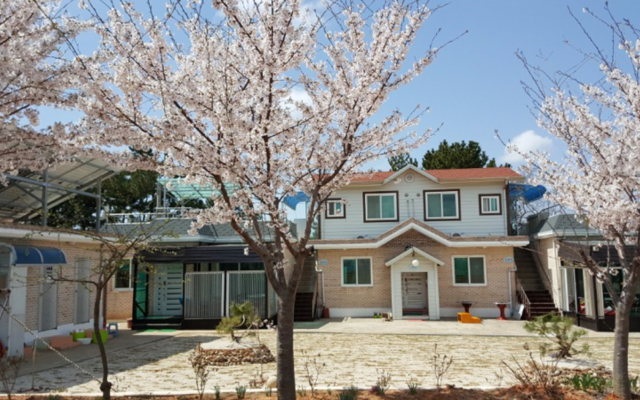 서천 바다향기펜션