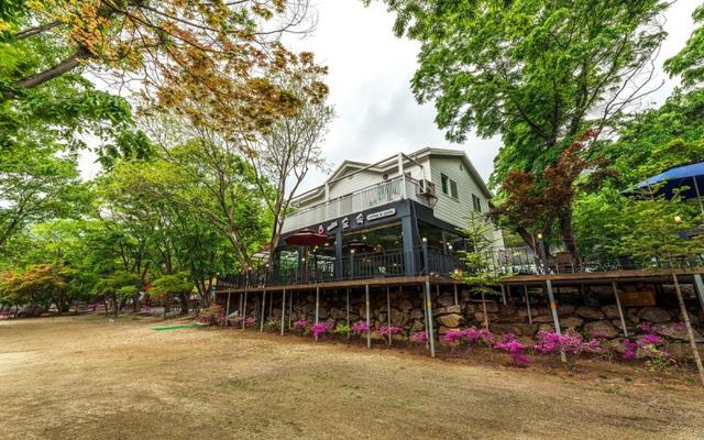 여주 느티나무펜션