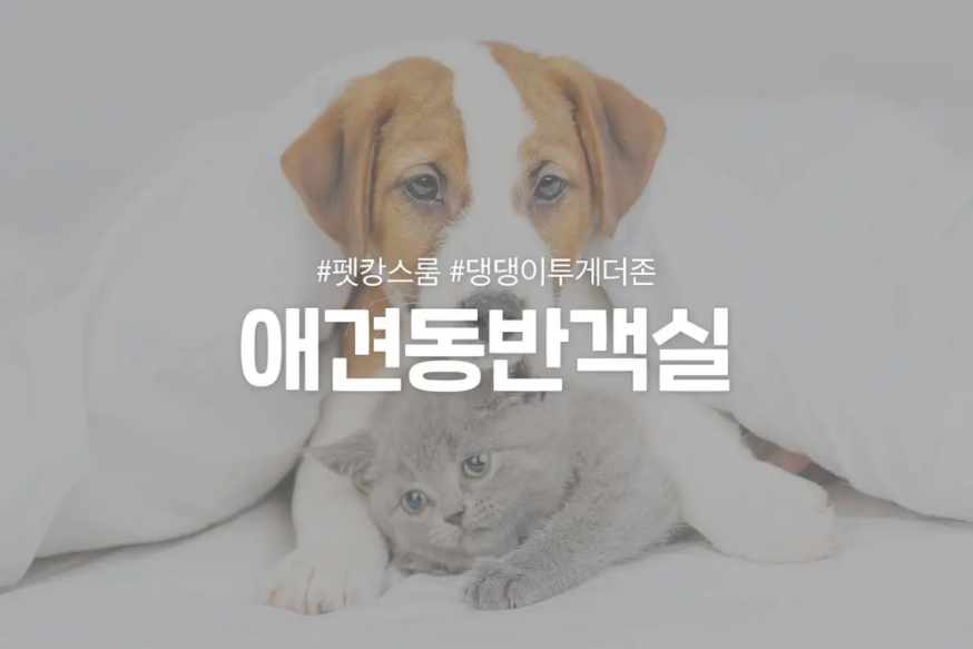 동해 호텔스토리 - 동해역점 호텔 구성 및 특징 이미지