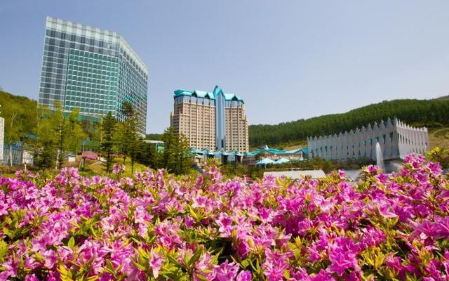 하이원 그랜드 호텔 컨벤션타워