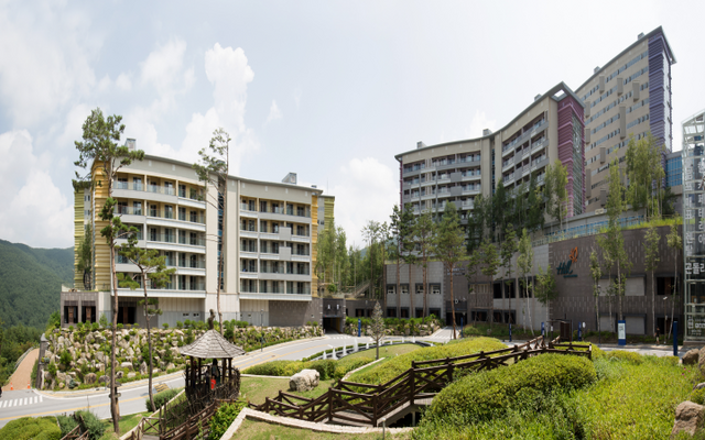 하이원 리조트 힐콘도