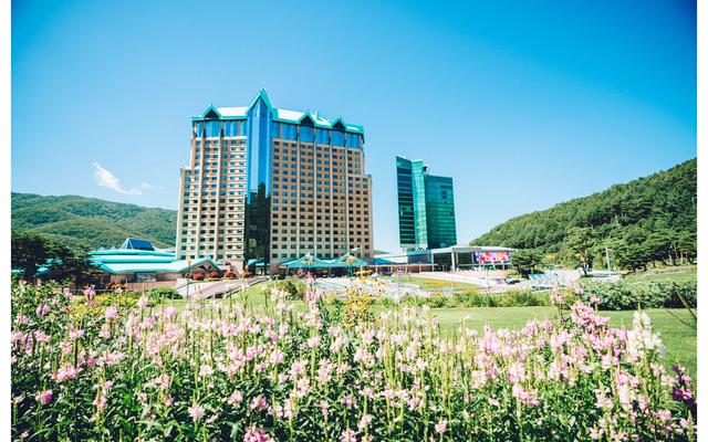 하이원 그랜드 호텔 메인타워