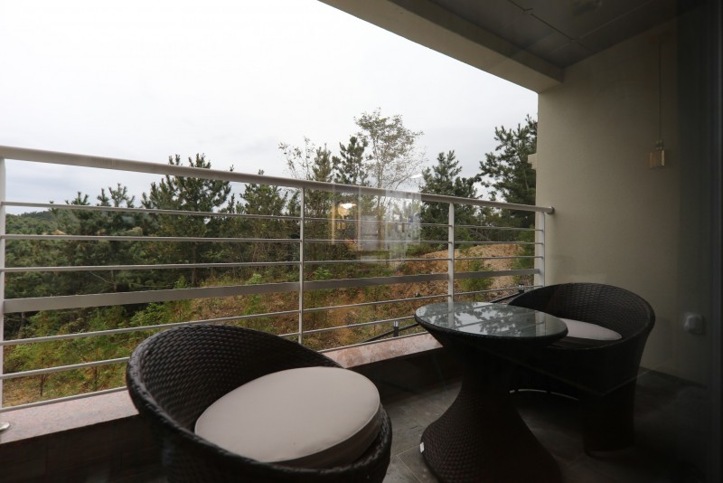 부여 파크아트빌라스 이미지 176