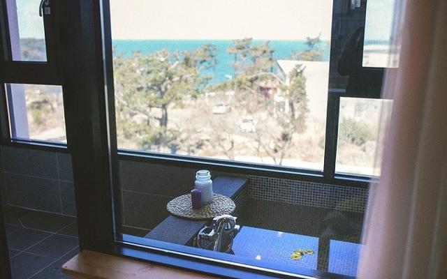 제주 블루엘 스파&풀펜션