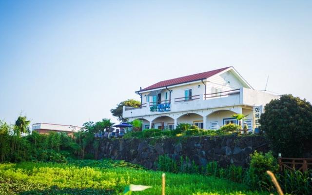 서귀포 화목펜션