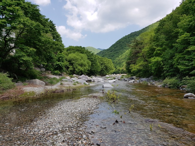 양산 클라우드힐블루펜션 사진