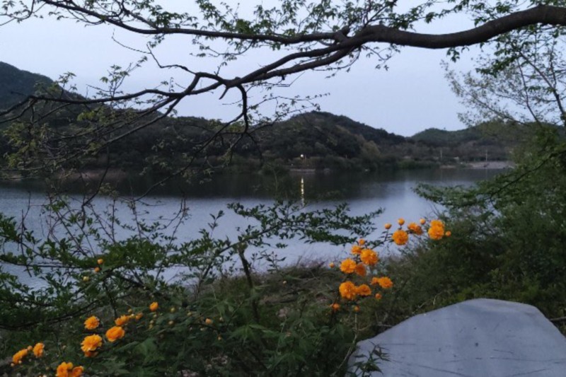 부여 진달래관광농원펜션 전망