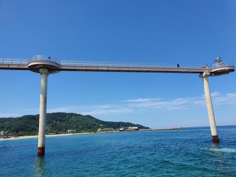 울진 숲속의산장펜션 전망