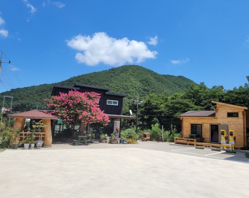 울진 숲속의산장펜션 사진