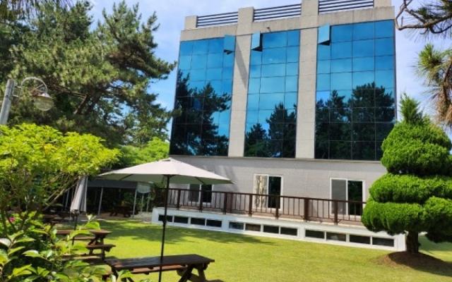 완도 카사엘리오