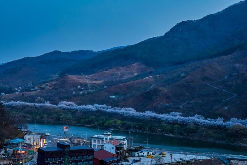 구례 지리산나무향기펜션 전망