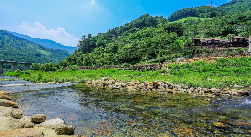 구례 지리산야생화펜션 전망