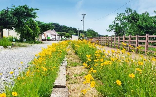 아산 글램핑캠핑장 사진