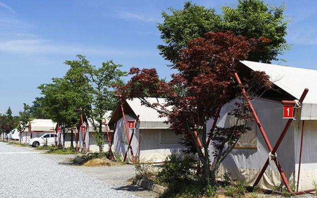아산 글램핑캠핑장 사진