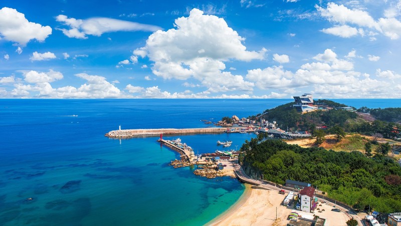 삼척 장호굿모닝펜션 전망