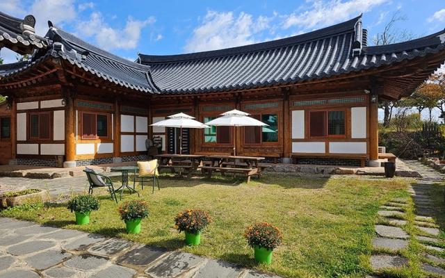 함평 웅지와나옹이