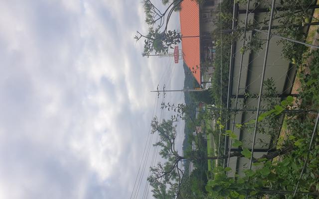 썸네일_2