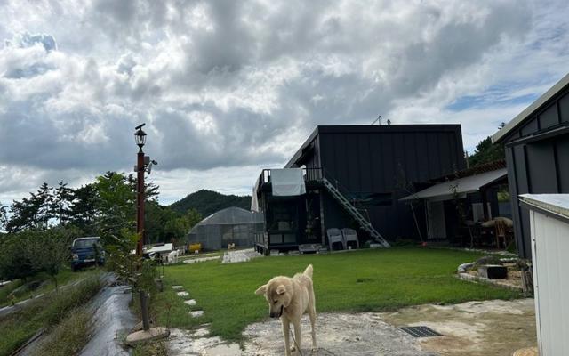 영광 솔안넘어자연속으로